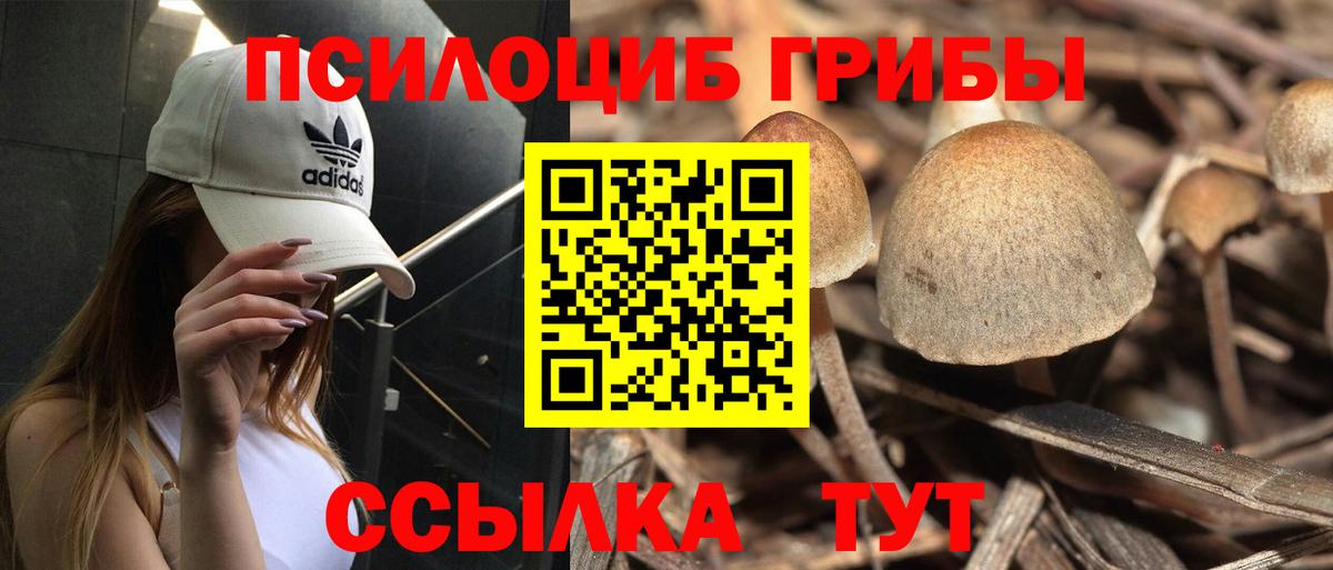 Карталы  Галлюциногенные грибы мухоморы  закладка  Вход с VPN 